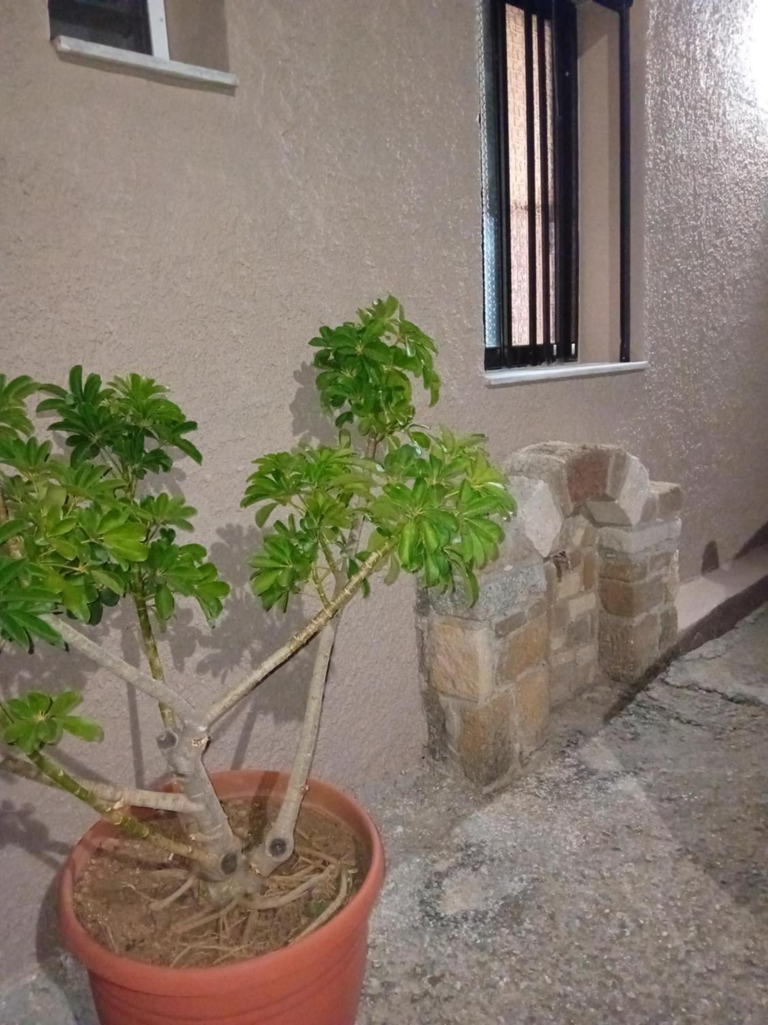 Casa Artemis Βίλα Πλάτανος Εξωτερικό φωτογραφία